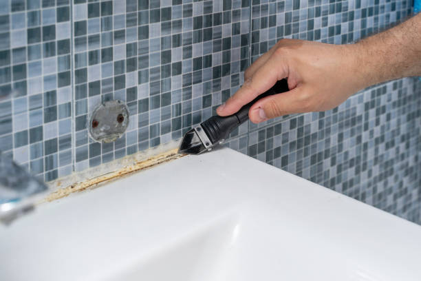 Best Mold Damage Repair  in Austin, AR
