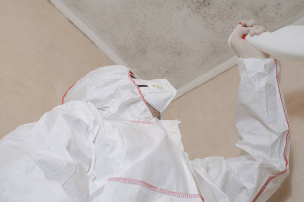 Best Local Mold Removal Service  in Austin, AR