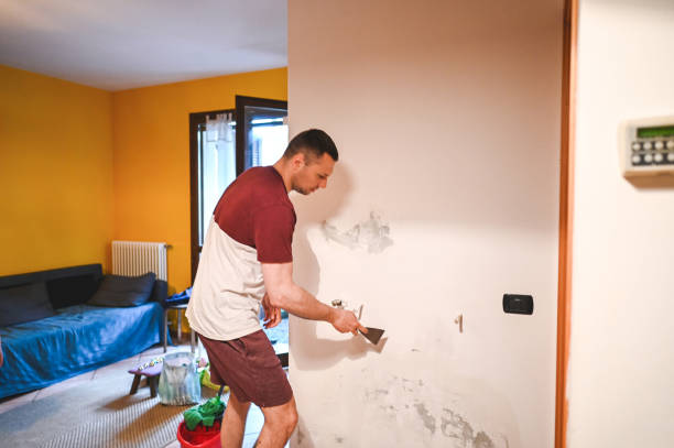 Best Attic Mold Removal  in Austin, AR