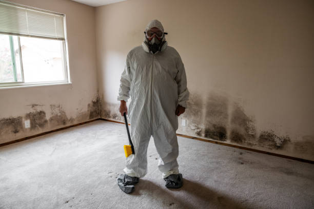 Best Crawl Space Mold Removal  in Austin, AR